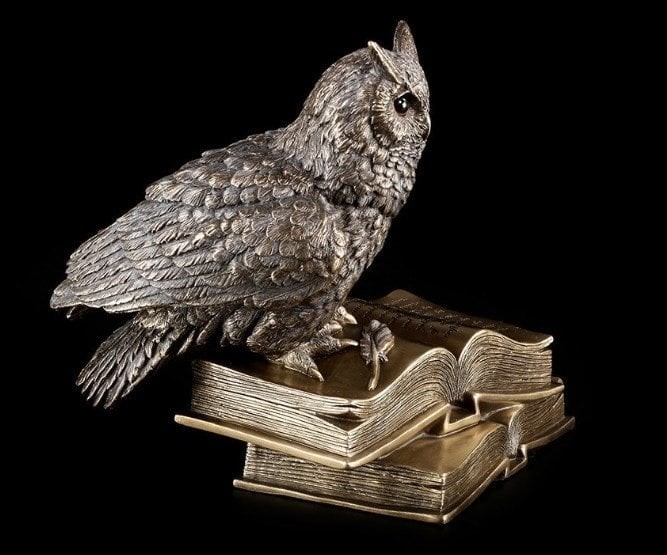 Kitap Üstünde Bronz Baykuş