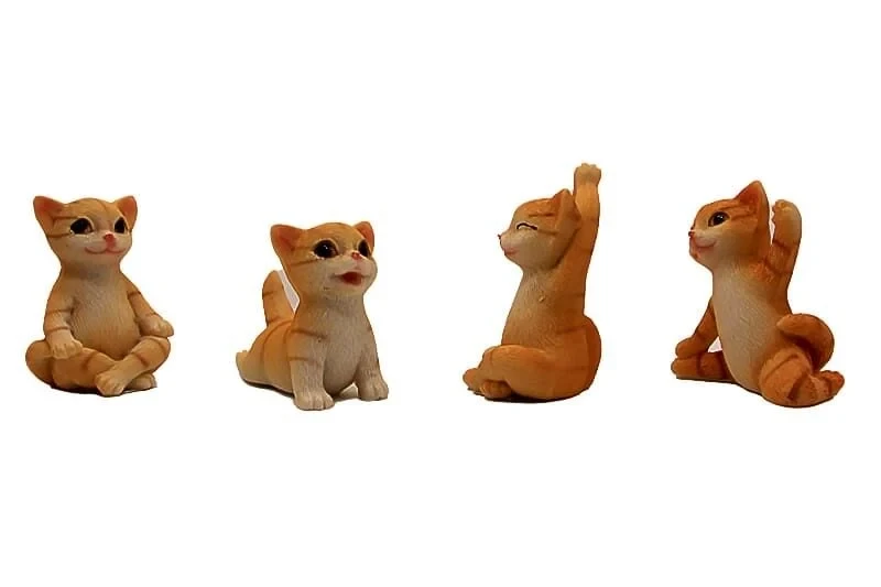 Yoga Yapan Kedi Biblolar 4'lü Set