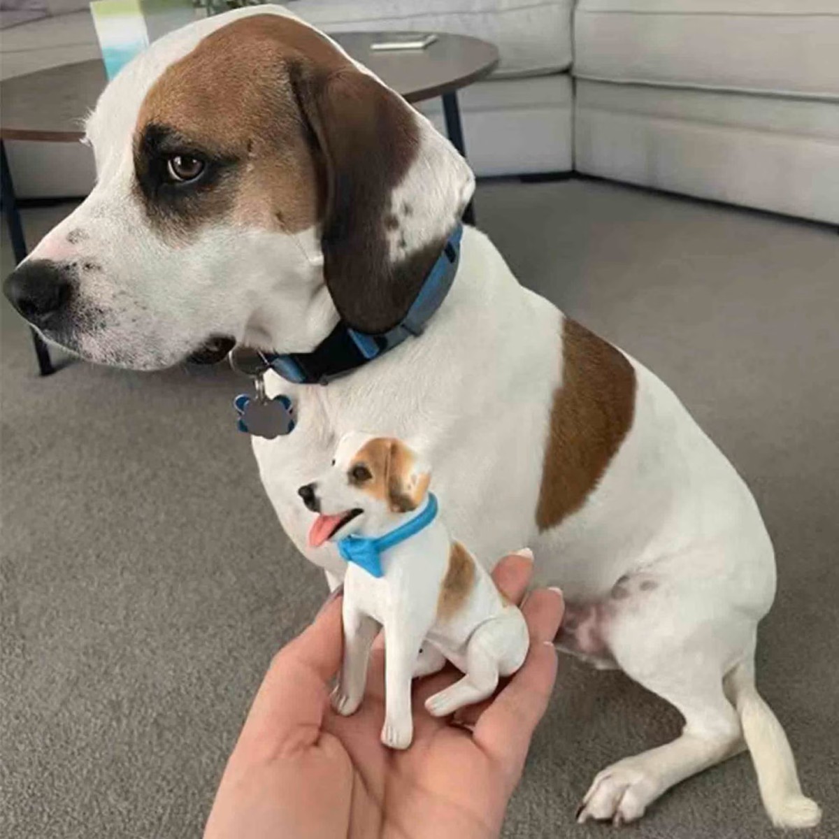 3D Kendin Tasarla - Evcil Hayvan